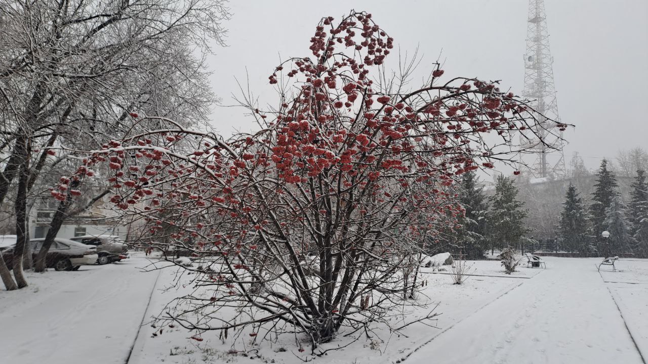 День игры на волынке: 19 ноября в Петропавловске -8°C, метель, гололёд